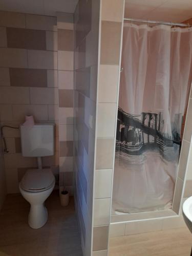 a bathroom with a toilet and a shower curtain at Charmant petit appartement avec bel exterieur. in Saint-Amarin