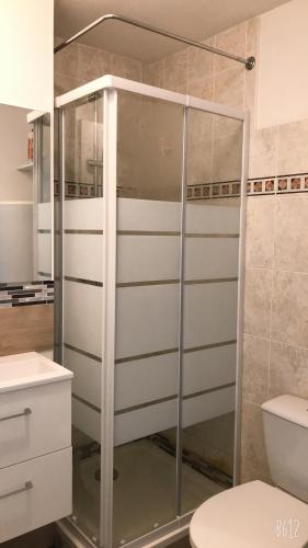 La salle de bains est pourvue d'une douche en verre et de toilettes. dans l'établissement Appartement Futuroscope-J', à Jaunay-Clan