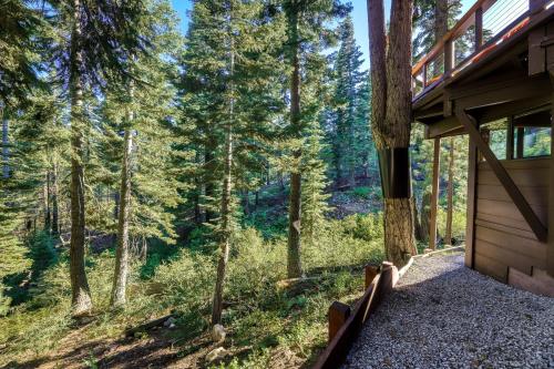 Alpine Creek Retreat – Photos 2