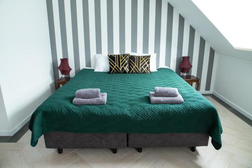 ein Schlafzimmer mit einem grünen Bett mit zwei Kissen in der Unterkunft Czarna Dama Apartamenty in Janowiec