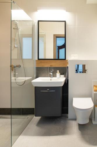 a bathroom with a sink and a toilet and a mirror at Czarna Dama Apartamenty in Janowiec