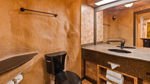 a bathroom with a sink and a toilet and a mirror at Best Western Galena Inn & Suites in Galena