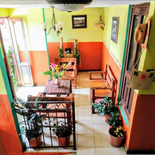 une chambre avec une table et des plantes en pot dans l'établissement Posada "Jardin Huasteca Xilitla", à Xilitla