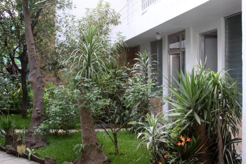 a garden in front of a house with trees and plants at Super Precio in Guatemala