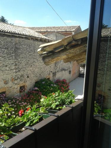 a window view of a garden with flowers at B&B Terre Di Bea in Pederobba