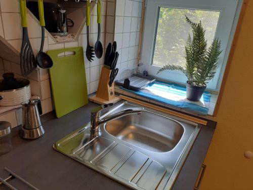 eine Küchenspüle mit Topfpflanze neben einem Fenster in der Unterkunft Tomas Old House - River Apartments in Visoko