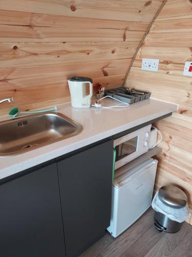 uma cozinha com um lavatório numa pequena casa em Arranmore Glamping em Aphort