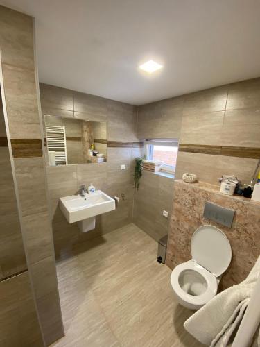 a bathroom with a toilet and a sink at Ubytování 121 - Hlohovec in Hlohovec