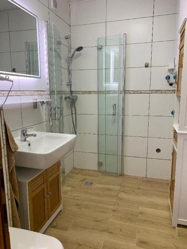 a bathroom with a sink and a glass shower at Appartement Sonnenblick in Kollnburg