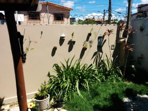 Zahrada ubytování Hostel Margo Natal