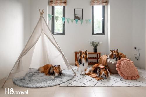 Domácí mazlíčci ubytovaní s hosty v ubytování Taitung Rainbow Pet Friendly Maison Resort