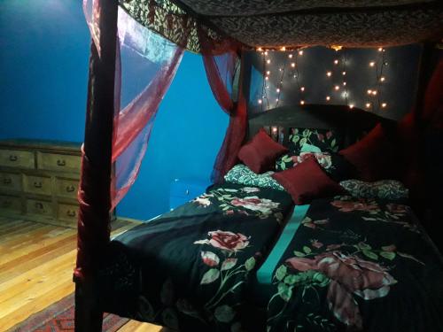 a bedroom with a canopy bed with lights on it at Doly 4 in Bouzov