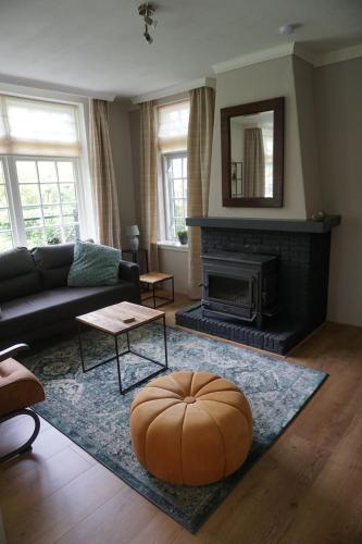 a living room with a couch and a fireplace at Charmantbuiten in Zandhuizen
