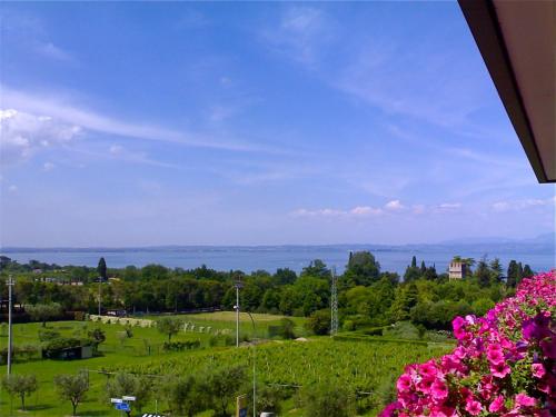 a view of a field with pink flowers at Parc Hotel Casa Mia in Lazise