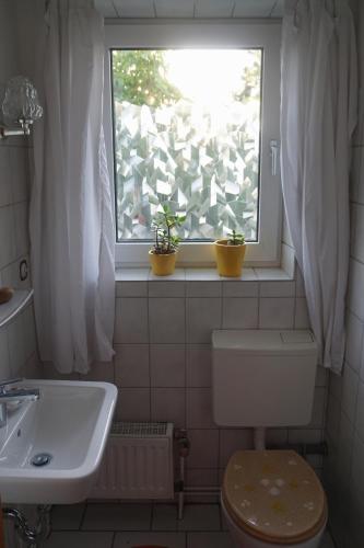 a bathroom with a toilet and a window with two plants at Ferienwohnung JohnnySue in Neu Darchau