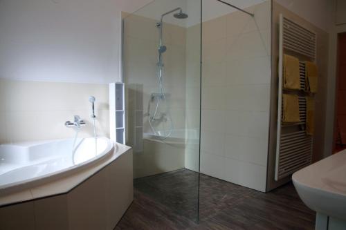 a bathroom with a glass shower and a sink at Gohliser Stadtwohnung in Leipzig