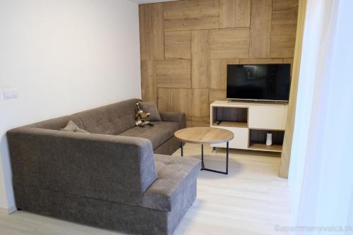 a living room with a couch and a table and a tv at Apartmány Valča in Valča