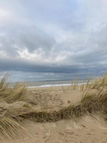 a sandy beach with tall grass and the ocean at KerkHotel Biervliet in Biervliet