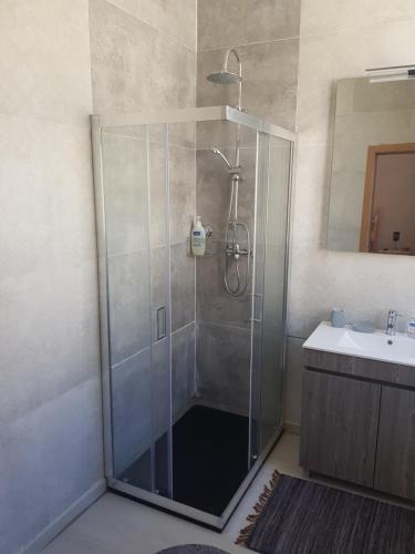 a shower with a glass door in a bathroom at Garden Place Alojamento Local in Viseu
