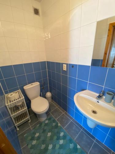 a bathroom with a toilet and a sink at Penzion pod Brehom in Terchová