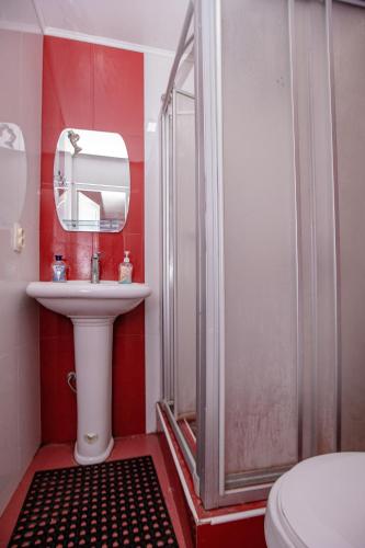 a bathroom with a sink and a shower at Arsego Hostel in Vanadzor