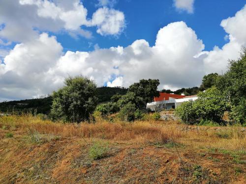 Vinha do Gaio – Photos 5