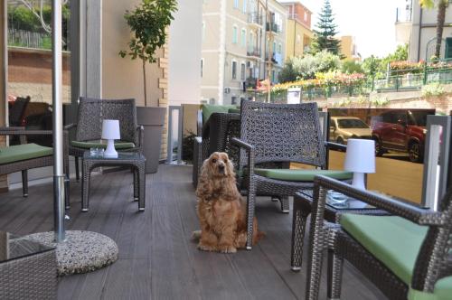 a large brown dog sitting on top of a wooden bench at Hotel San Marco in Vasto