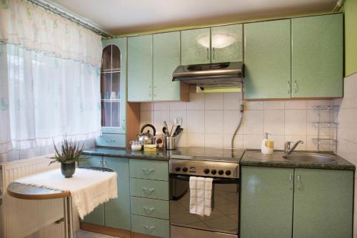 eine Küche mit grünen Schränken und einem Waschbecken in der Unterkunft Górska Kraina in Bielsko-Biała