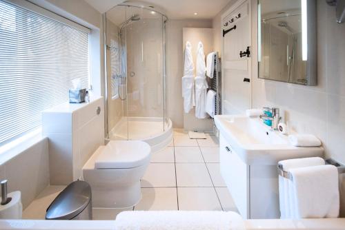 a bathroom with a toilet and a sink and a shower at Neroli River View Apartment in Bourton on the Water