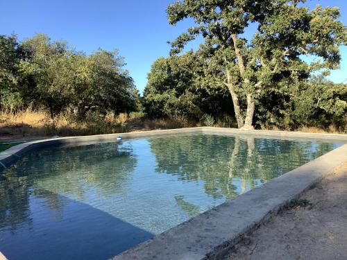 una piscina d'acqua con un albero sullo sfondo di Casa Rural Camino de la Data a Valencia de Alcántara