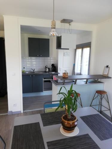 une cuisine avec une plante en pot assise sur une table dans l'établissement La Houle, maison, à Criel-sur-Mer