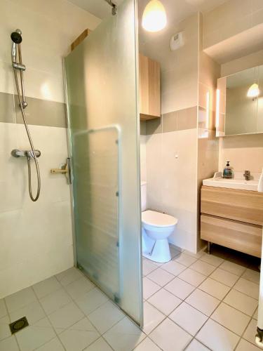 une salle de bain avec une douche, des toilettes et un lavabo dans l'établissement Le Neptune, appartement avec parking et jardin proche université, à Caen