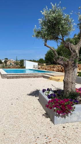 a tree in a flower bed next to a swimming pool at Quinta da Alquimia in Lagos