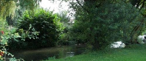 アルク・ラ・バタイユにあるChambres d'Hôtes Arques en Cielの木々と芝生の池