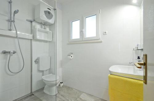 a bathroom with a shower and a toilet and a sink at Paradies Apartments Prizba in Blato