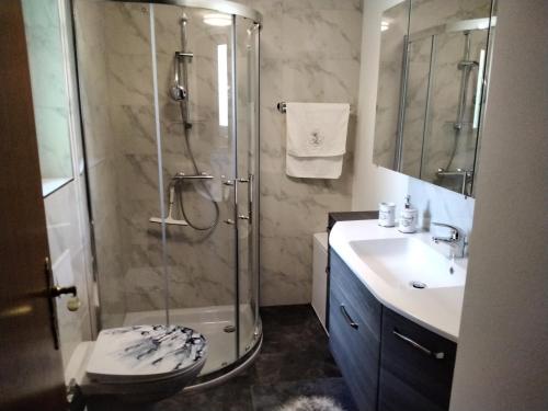 ein Bad mit einer Dusche, einem WC und einem Waschbecken in der Unterkunft Pusteblume in Groitzsch