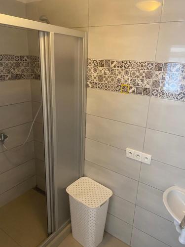 a bathroom with a shower and a sink at Vinařský dům Kovárna in Březí