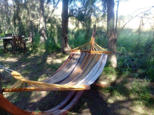 a hammock in a field with a table and trees at Domaine Les 4 Vents in Patrimonio