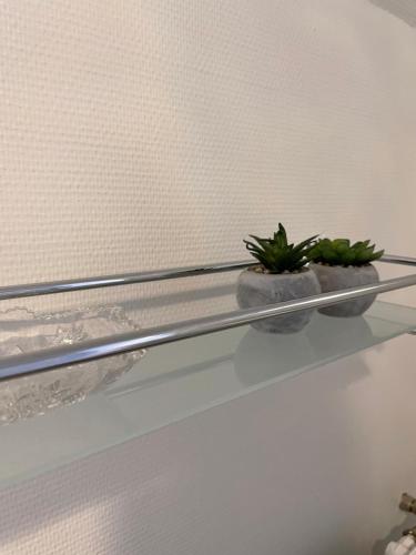 two potted plants sitting on a glass shelf at Forvalterboligen in Hadsund
