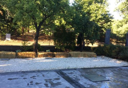 a park with trees and a fence in the background at Chalet Etna in Biancavilla