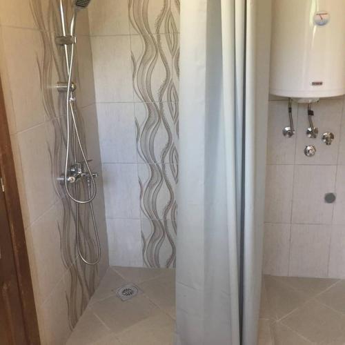 a shower with a shower curtain in a bathroom at Banjska brvnara in Vrnjačka Banja