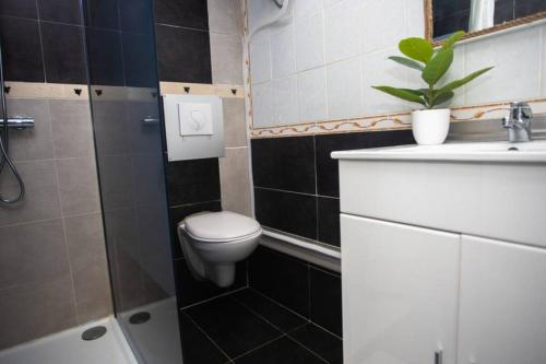 een kleine badkamer met een toilet en een wastafel bij Le Bohème, Cosy, Hypercentre in Grenoble