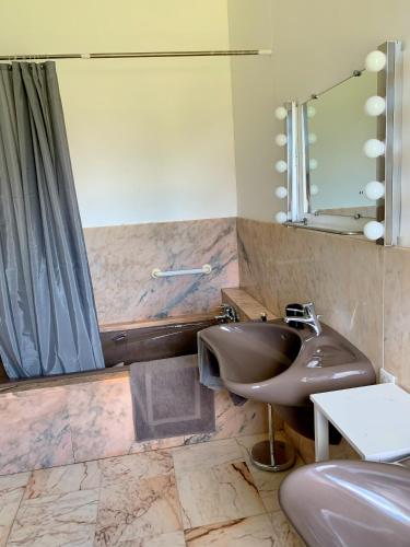 une salle de bain avec un lavabo et une douche dans l'établissement Magnifique villa de charme avec piscine, à Casteljaloux