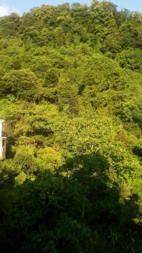 Gallery image of Guest House Marineza in Gonio