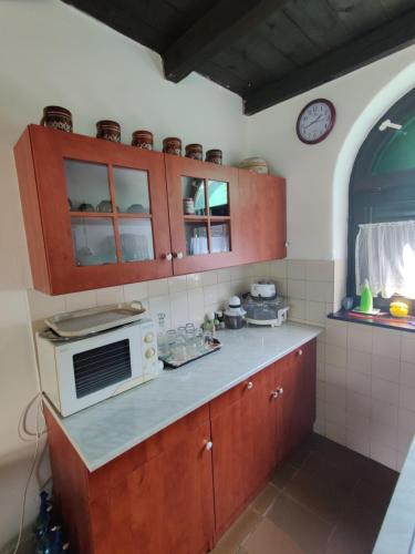 a kitchen with a counter top with a microwave at Tobak vendégház in Békésszentandrás