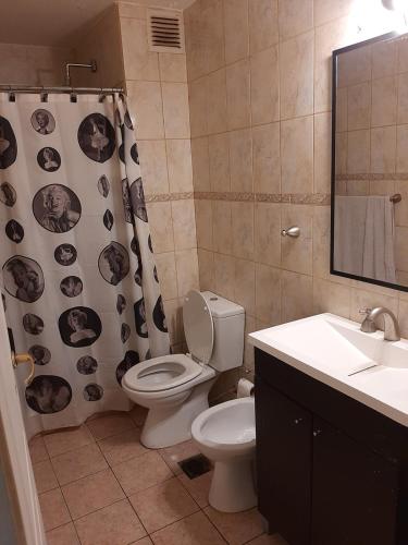 a bathroom with a toilet and a sink and a shower curtain at Rocio in Ushuaia