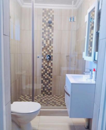 a bathroom with a shower with a toilet and a sink at Erins Haven - Polokwane in Polokwane