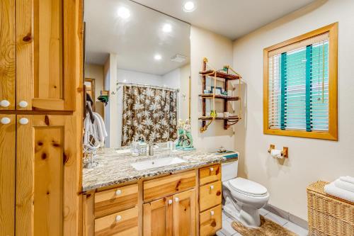 un baño con lavabo e inodoro en Tyee Legacy, en Tyee Beach