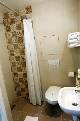 a bathroom with a toilet and a shower and a sink at Hotel de France in Brussels
