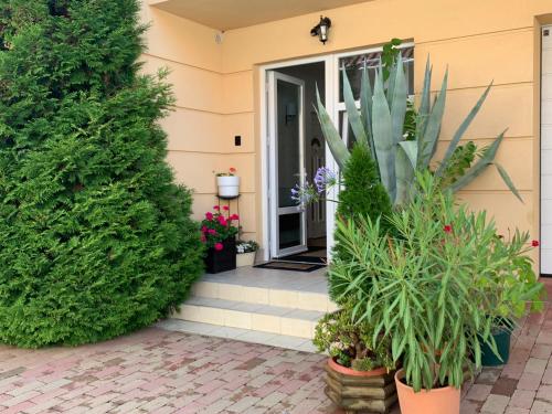 Andi Apartman 8380 Hévíz, Vörösmarty u. 55/A kép - 3